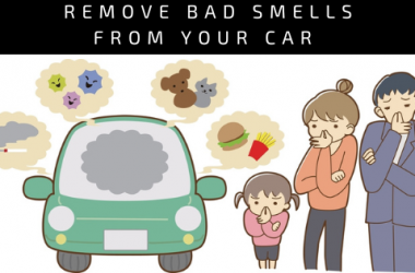 How to remove fish smell from car